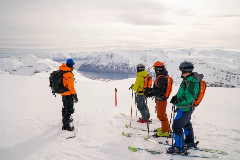 skiers overlooking snowy mountains